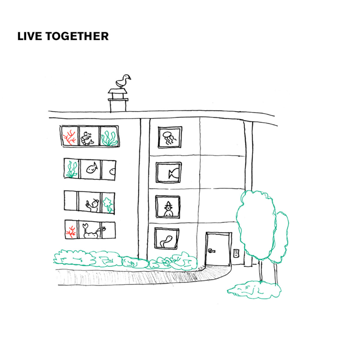 Slideshow Instagram 1