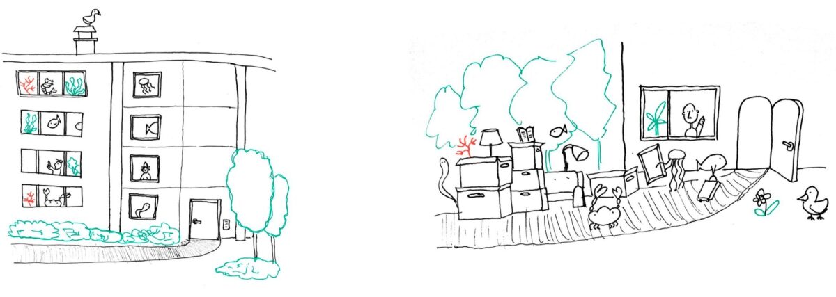 Superflex Slideshow Web6